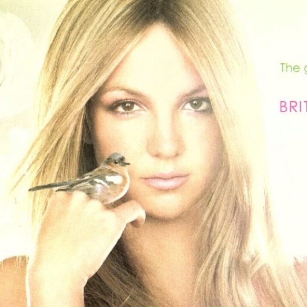 Meet your Posher, Athena.